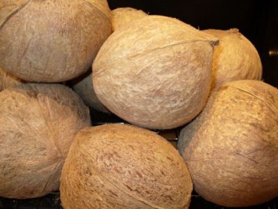 5 Survival Foods to Consider for Your Emergency Supplies Image